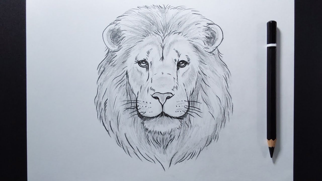 How To Draw a Lion's Face Step By Step | Easy Drawing Tutorial