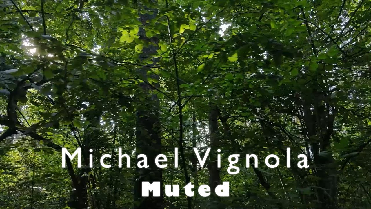 Michael Vignola - Muted - epic relaxation music - Mind Drifter