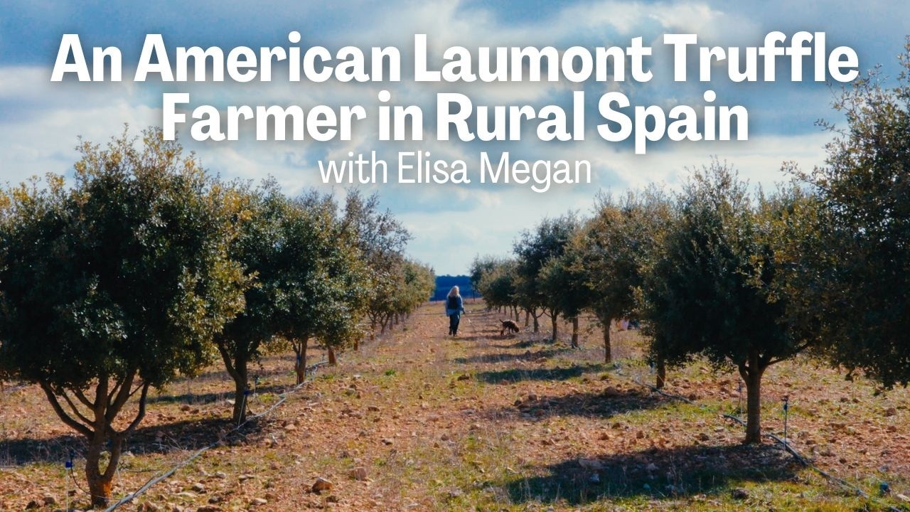 Elisa Megan, An American Laumont Truffle Farmer in Rural Spain: The challenges of a truffle farmer