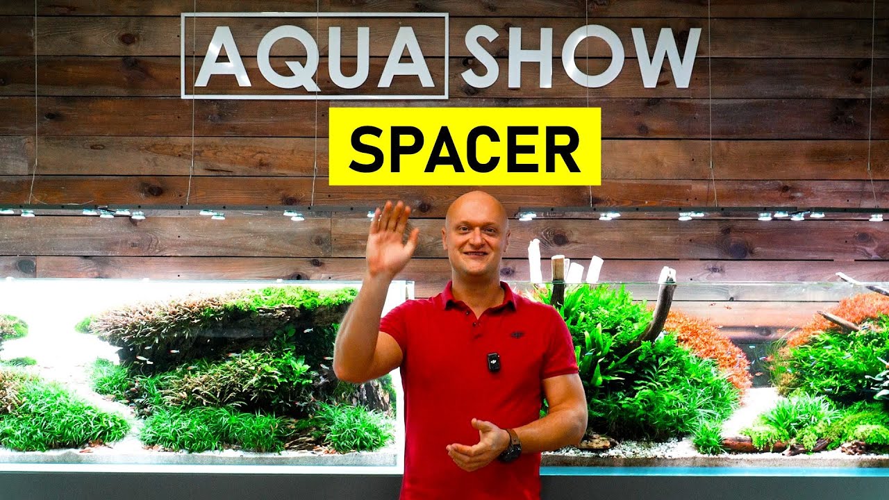 Spacer po AQUASHOW w Warszawie