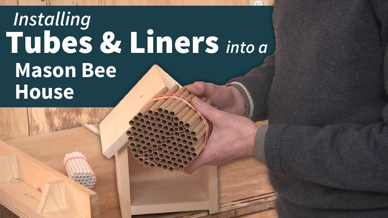 Using Tubes & Liners in your Mason Bee Housing