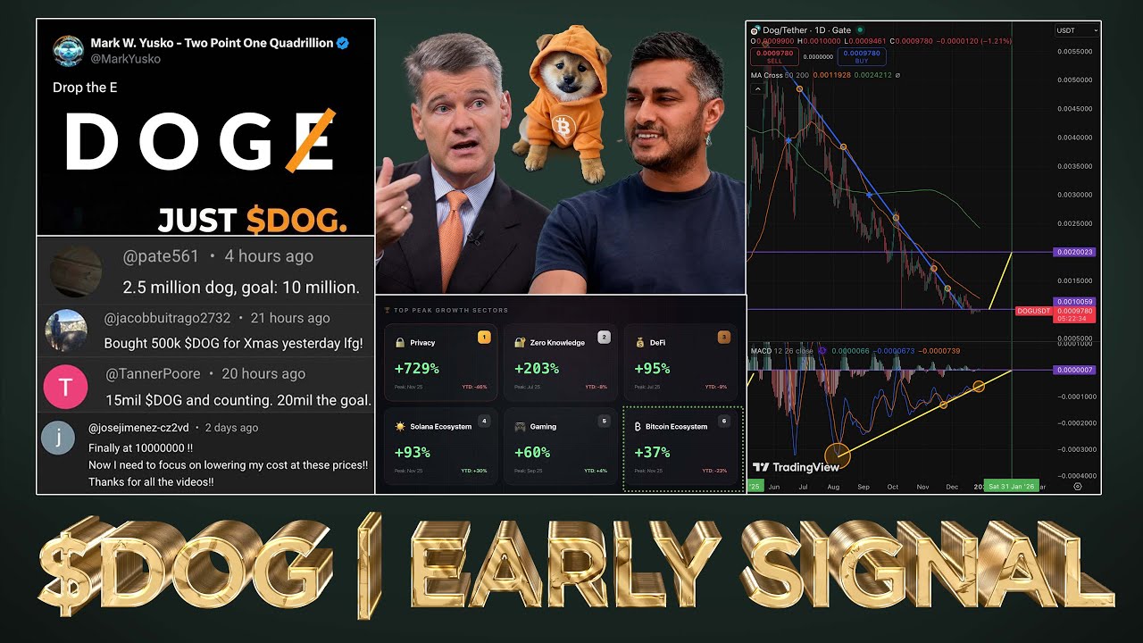 $DOG 
