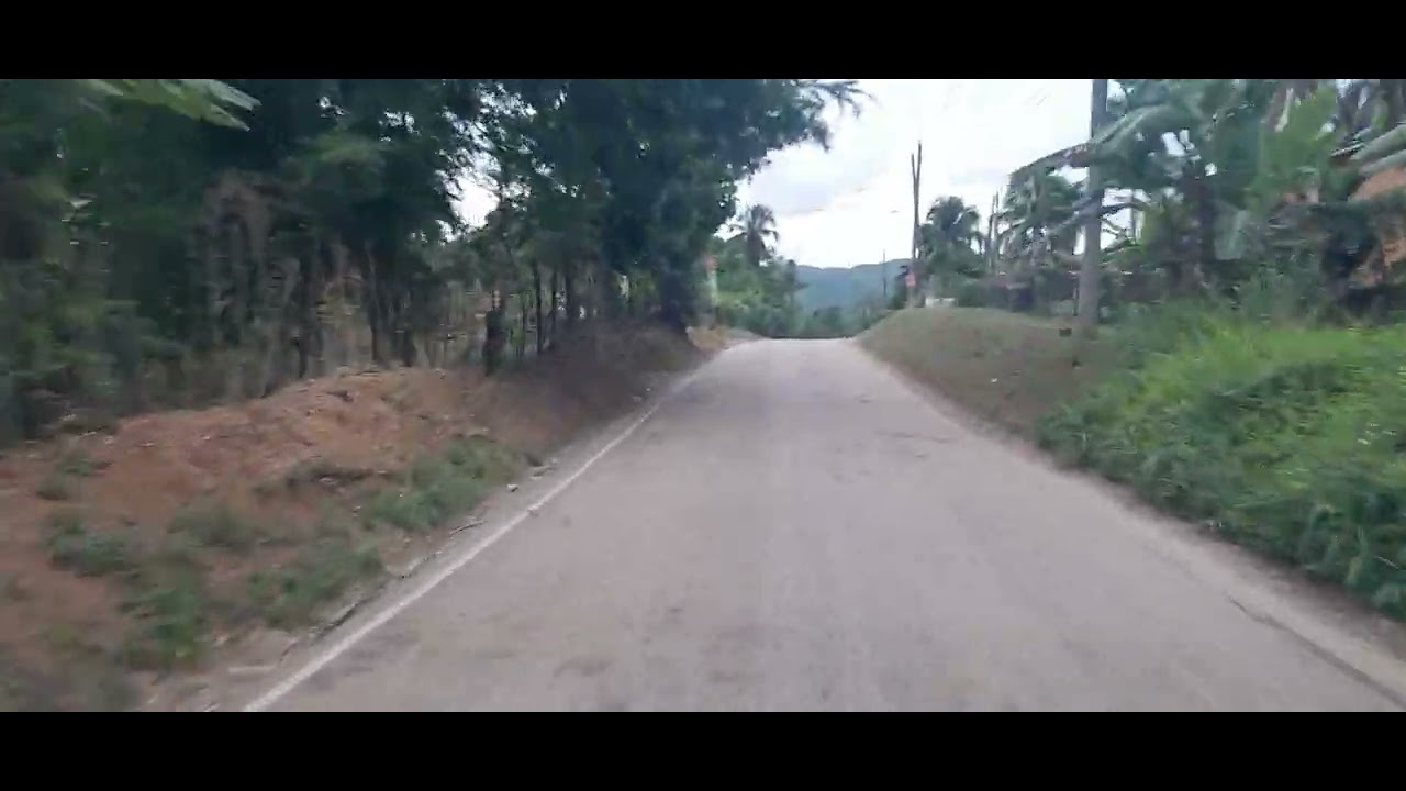 EWARTON TO KELLITS CLARENDON - Jamaica Road Tour