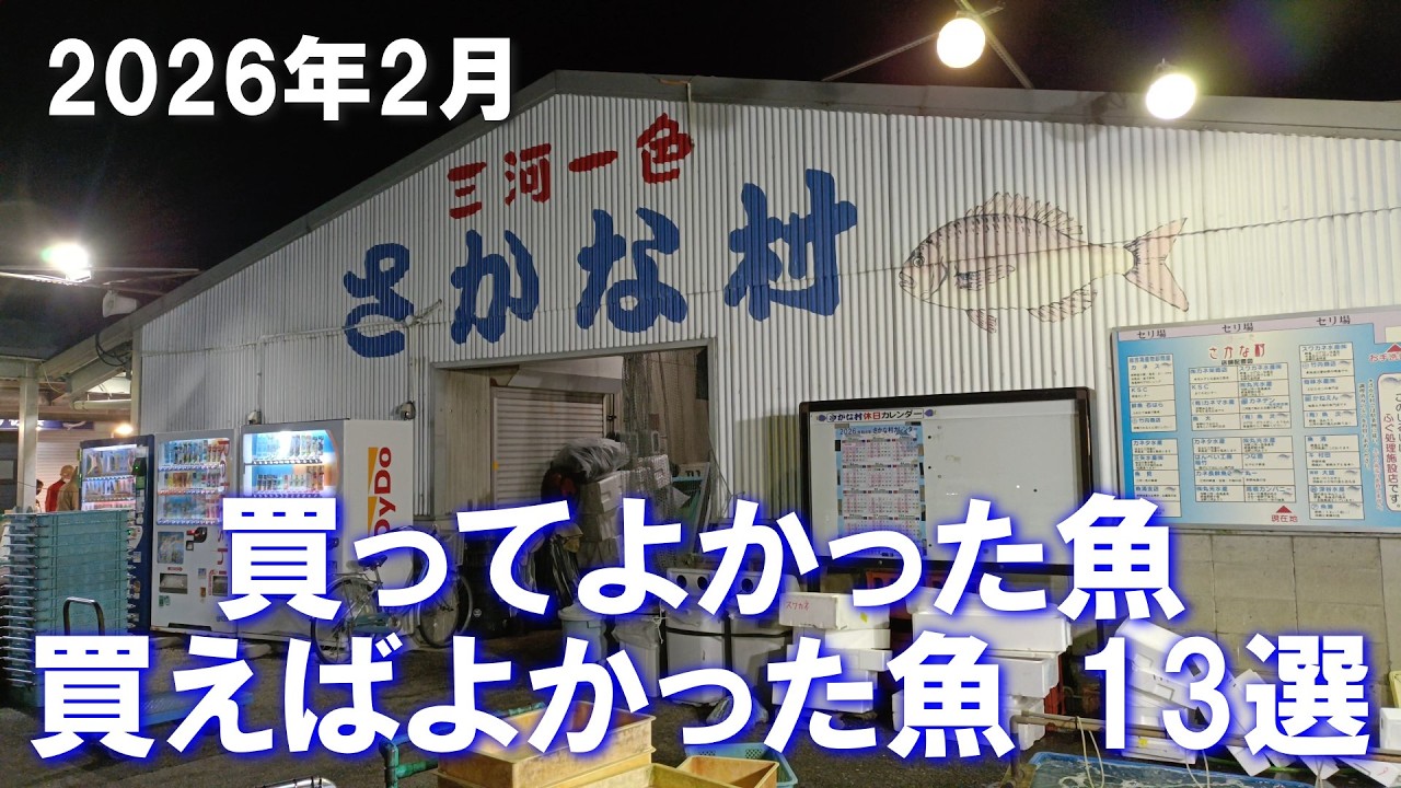 【魚市場】26年2月に買ってよかった買えばよかった魚13選