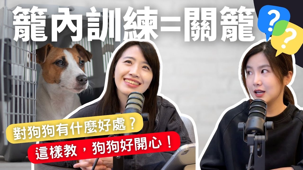 籠內訓練這樣教，狗狗最開心！有可愛狗狗示範唷！#狗 #寵物訓練 #生活
