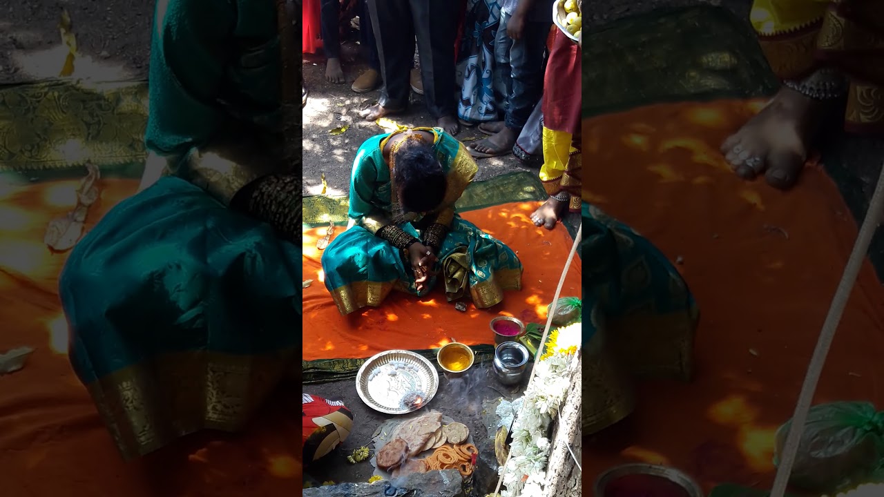 2018 Bannerghatta video part 1