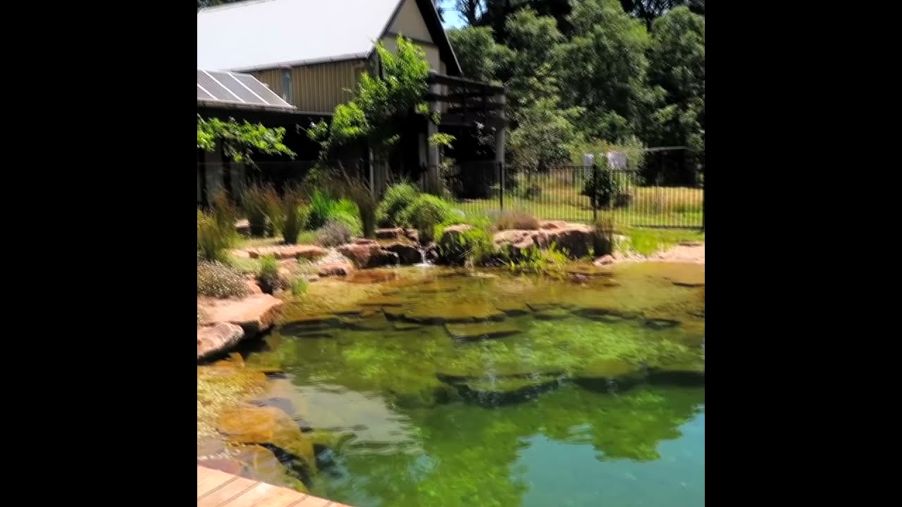 Garden Recreation Pond in AUSTRALIA! #Shorts