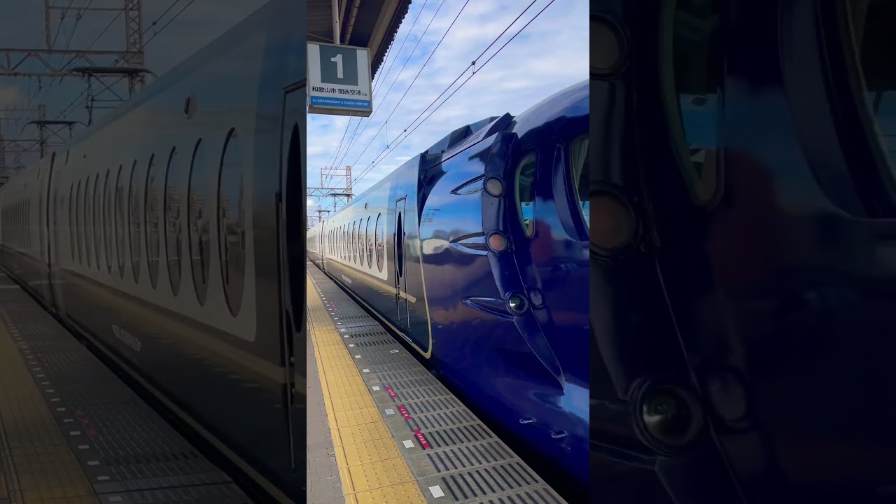 Limited Express Rapi:t #nankai #train  #expresstrain #japan #kansaiairport #namba