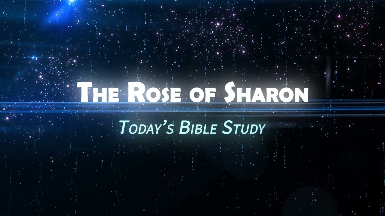 The Rose of Sharon