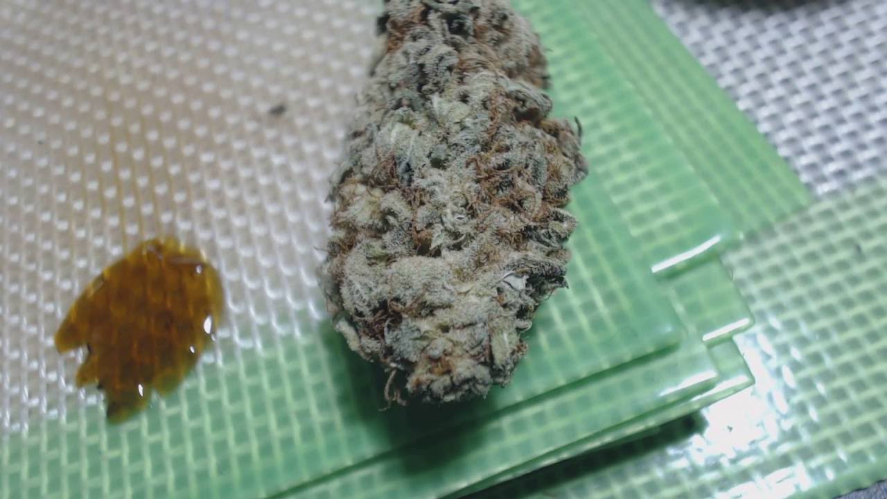 Unboxing of MMJ Total Health Care Medicine