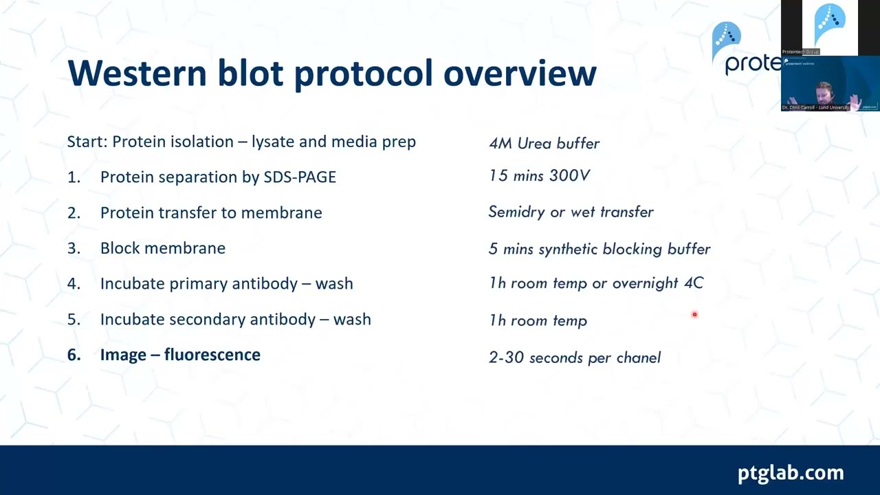Fluorescent Western Blot Workshop