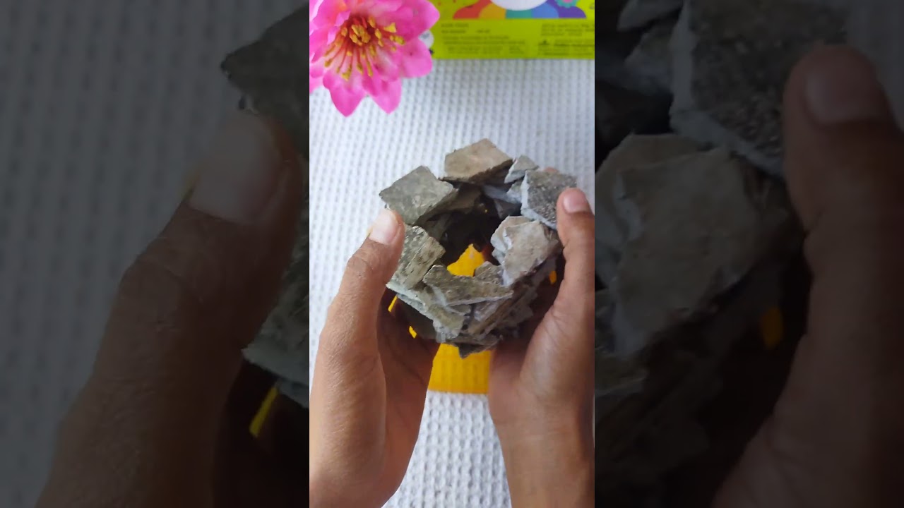 😍DIY Stone Planter🪴 | Easy Home Garden Decor Idea 
