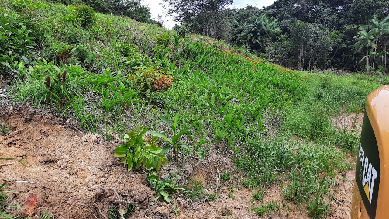 création d'un talus + mise en forme d'une plate-forme
