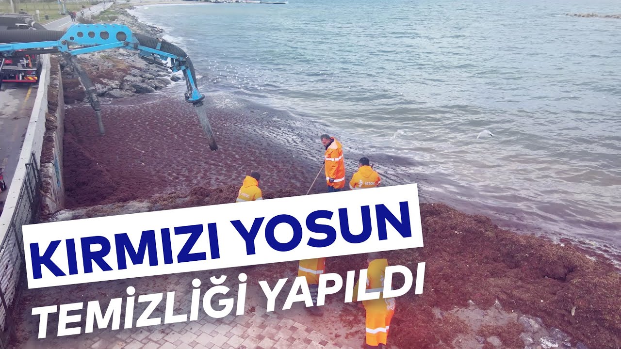 İBB SAHİL ŞERİTLERİNDE LODOS TEMİZLİĞİ YAPIYOR