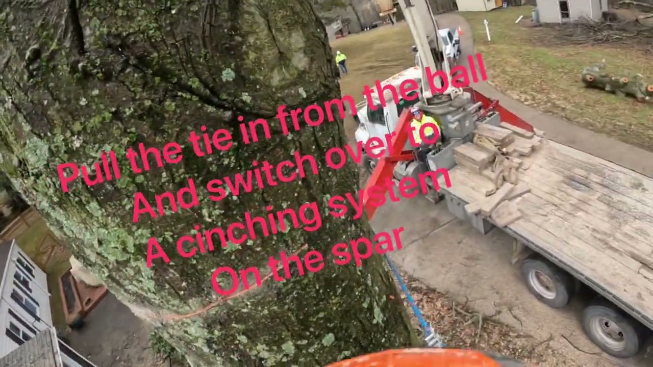 Tree work: RAW crane cutting and tie in technique