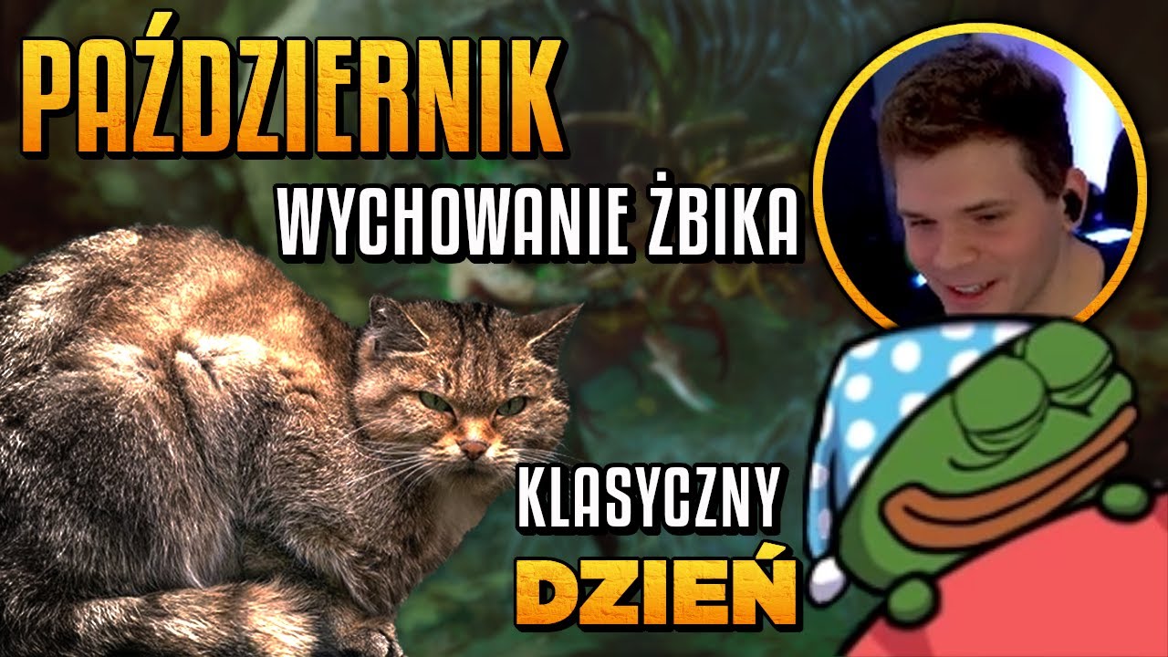 GUCIO | FENOMEN STRIMÓW SPONSOROWANYCH | PODSUMOWANIE DNIA #128 | PAŹDZIERNIK
