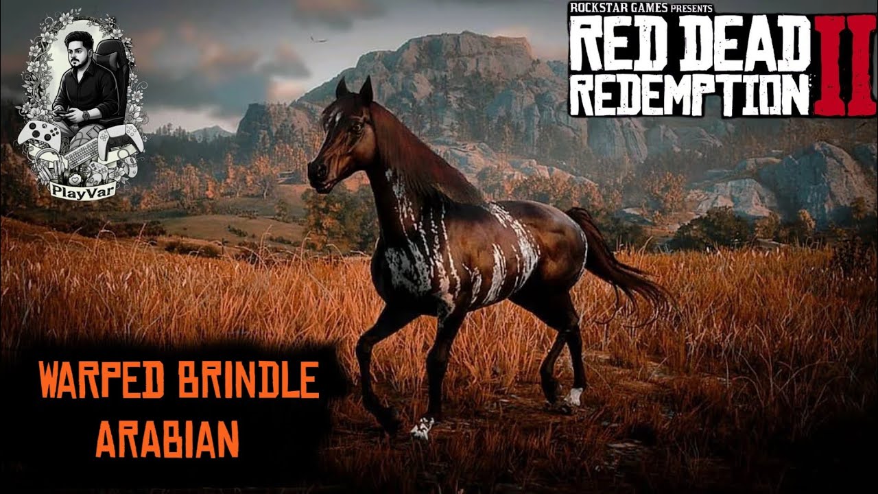 Red Dead Redemption 2 : Legendary Wrapped Brindle Arabian Horse Location & Guide 🐎 | 2026 |