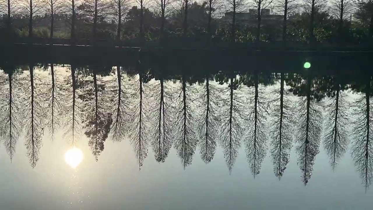 115-02-15 春天的氣息 霄裡池的清晨 03