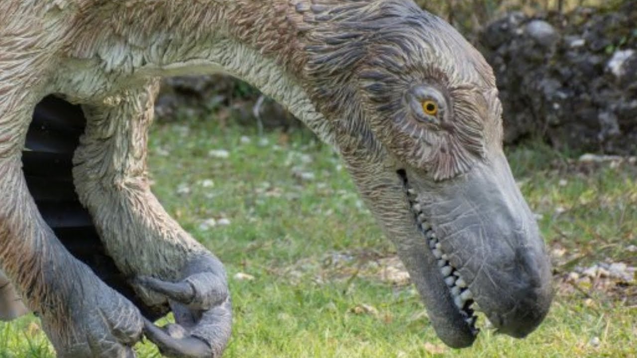 Here's What Velociraptors Really Looked Like