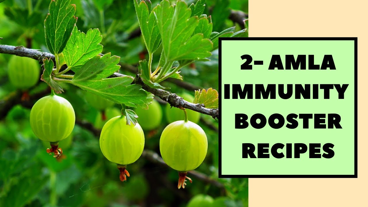 2 - AMLA IMMUNITY BOOSTER RECIPES | WINTER RECIPE | #immunitybooster