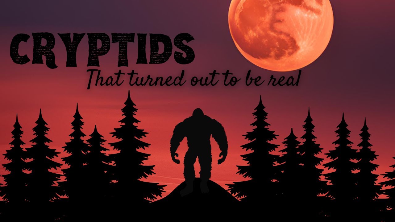 Cryptids that turned out to be real!