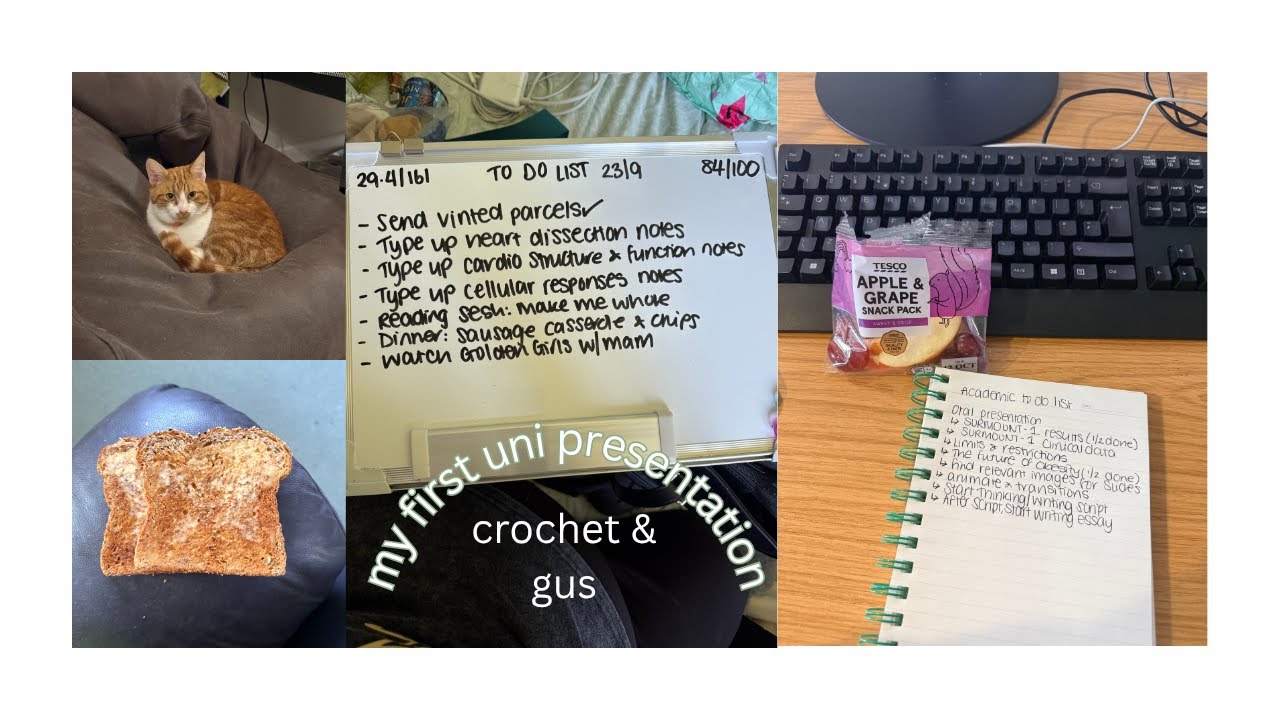 spend the day with me at home: oral presentation, crochet and gus