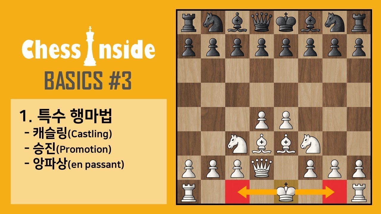 체스의 기초#3 - 특수 행마법(캐슬링, 프로모션, 앙파상)
