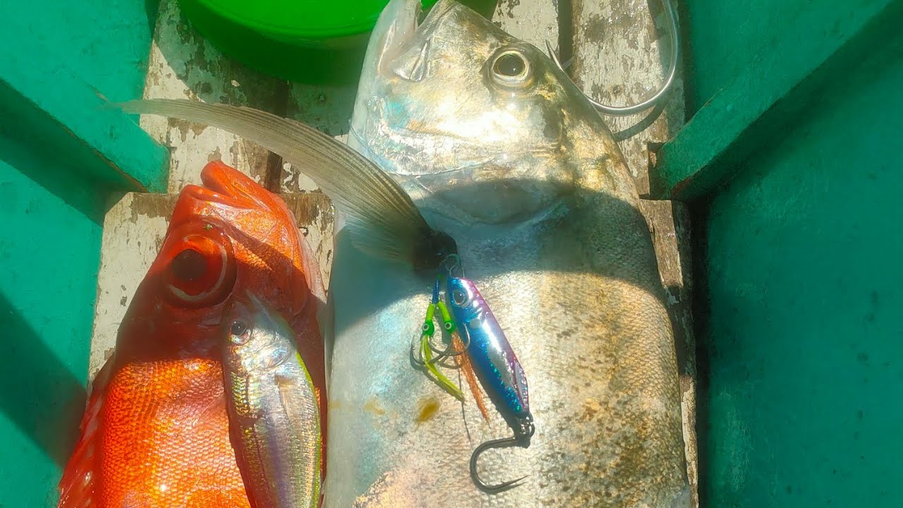 handline micro jigging po nakahuli  ng mansa