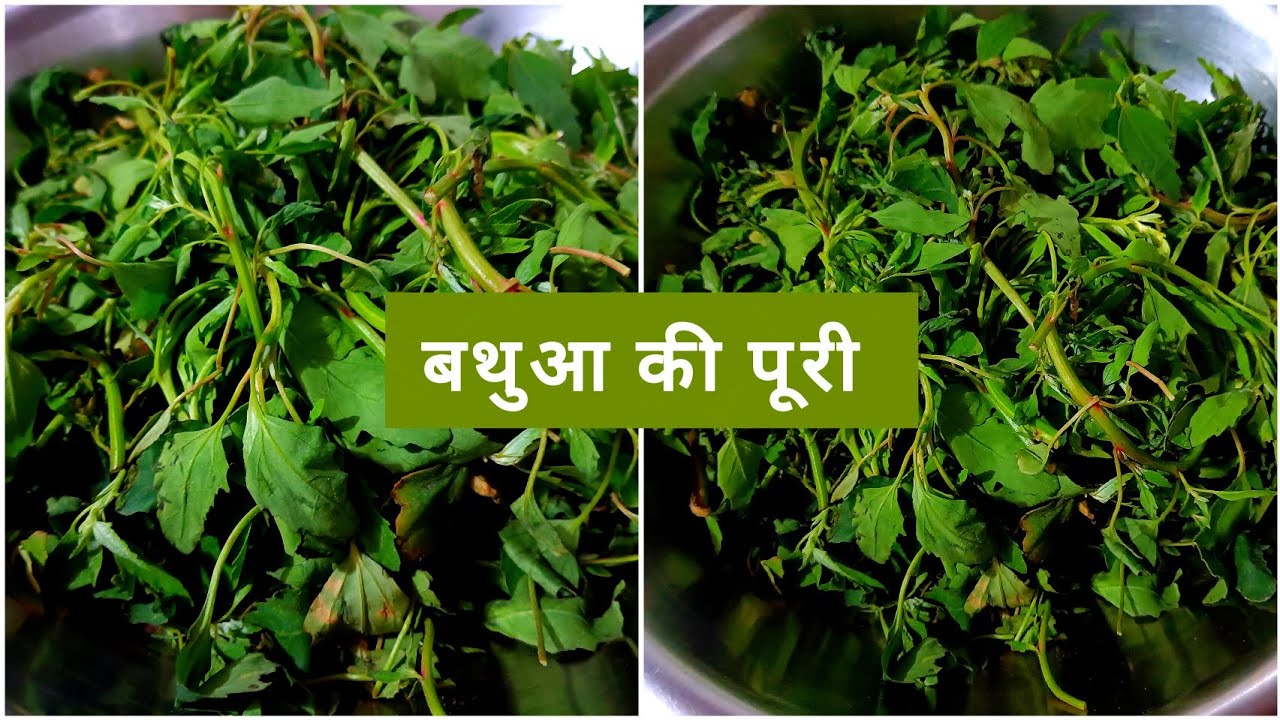 Bathua puri recipe | बथुआ की पूरी | #bathuarecipe #recipe #thegrahshilp 