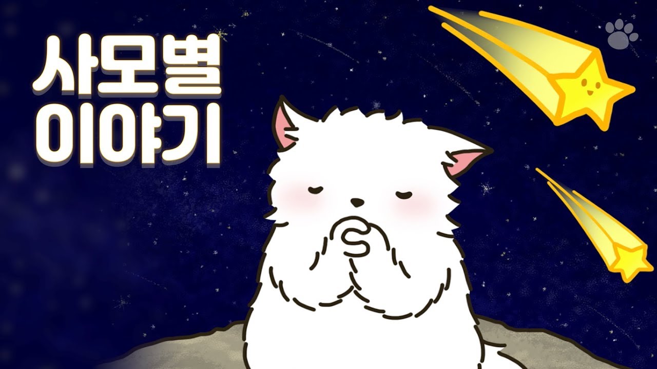 [사모별 이야기] 강아지가 무지개 다리를 건넌 후의 이야기