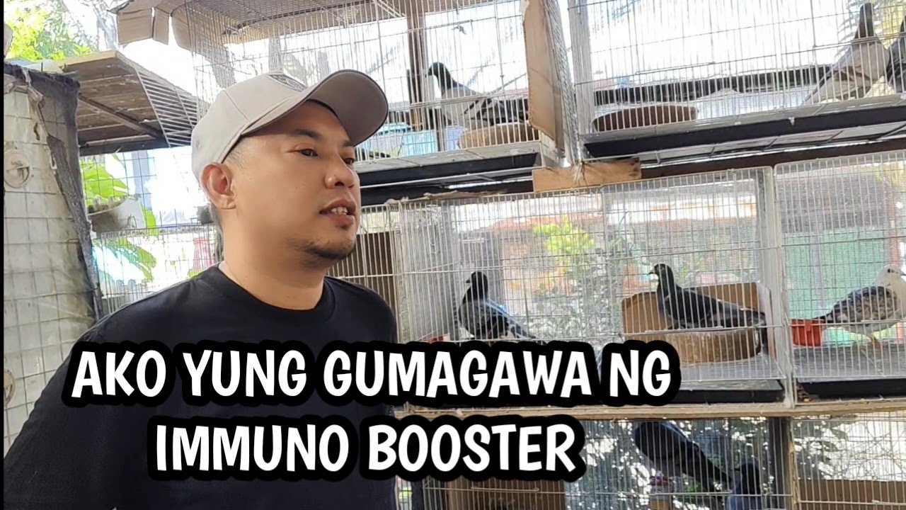 MAY-ARI NG IMMUNO BOOSTER, MADAMING BREEDER!