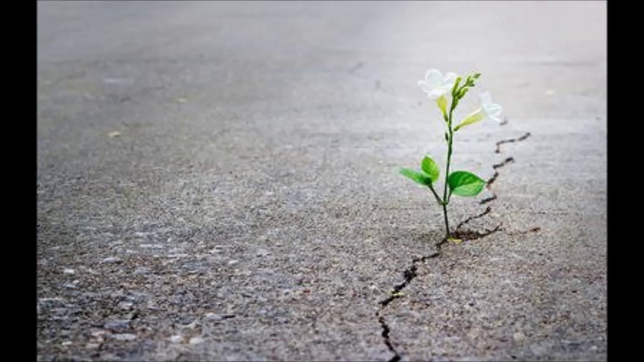 Mpampis Katis - Serenit&agrave;.