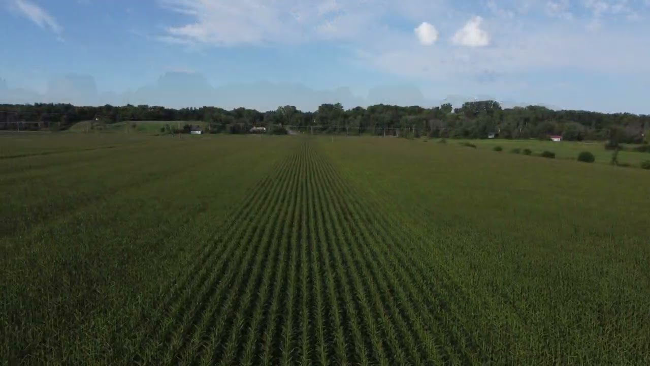 Drone Shots | Late Summer Cornfields & Countryside in Vaudreui-Dorion, QC