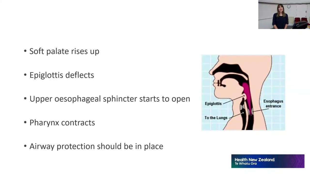 South Island Stroke Study Day 2025 - morning session