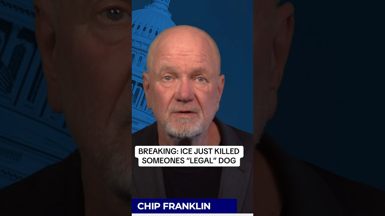 ICE CAUGHT Убийство &laquo;легальной&raquo; собаки