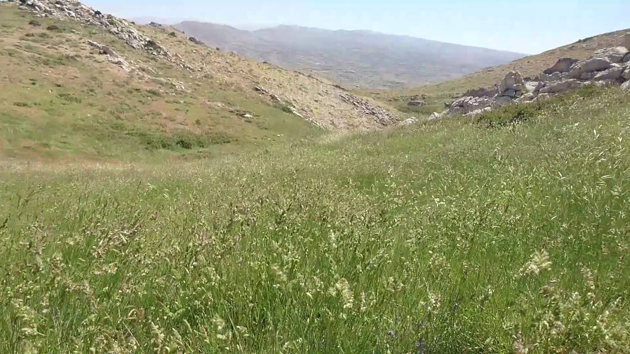 Laqlouq hike