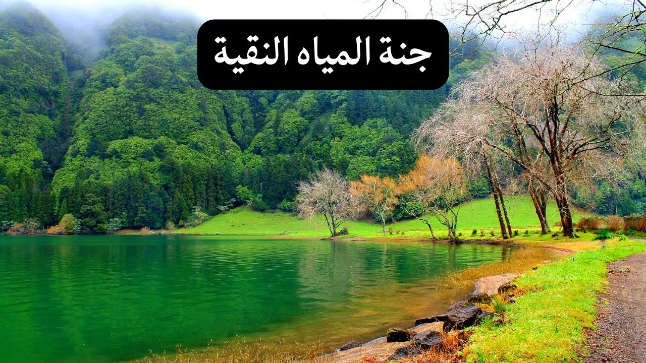 جنة المياه النقية | بحيرات وشلالات ضائعة في قلب الطبيعة