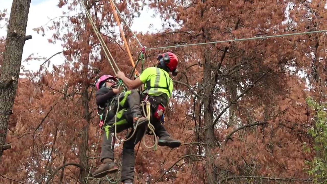 RESCATE AEREO CON TIROLESA