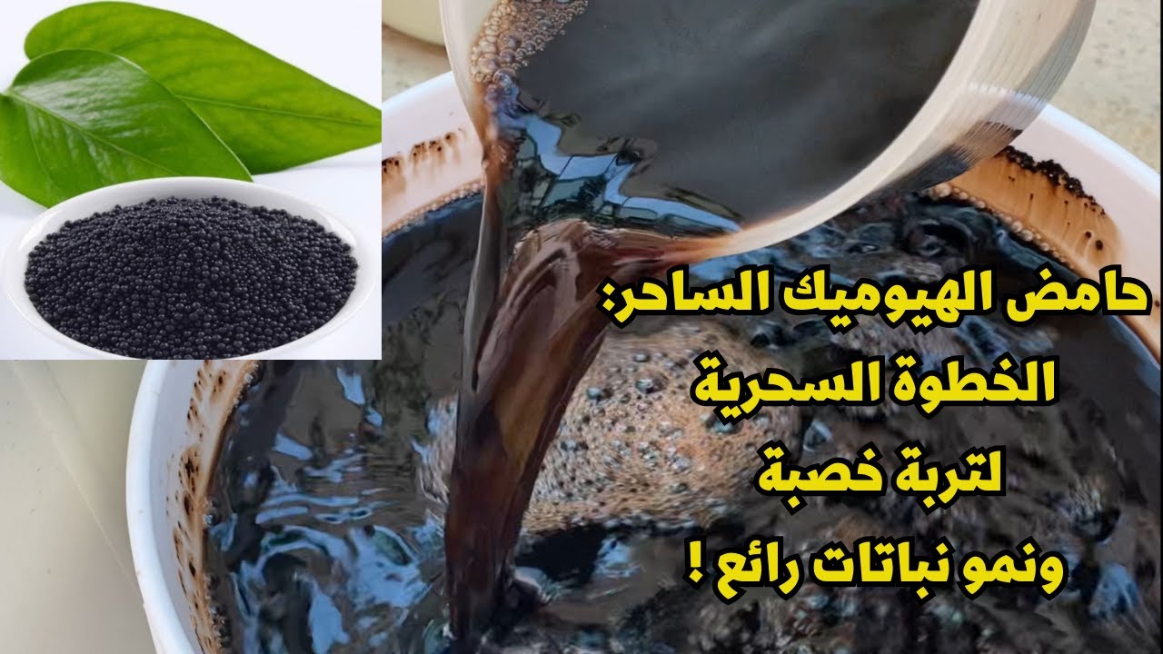استخدام حامض الهيوميك الساحر في تحسين نمو النباتات وإثراء التربة Humic Acid