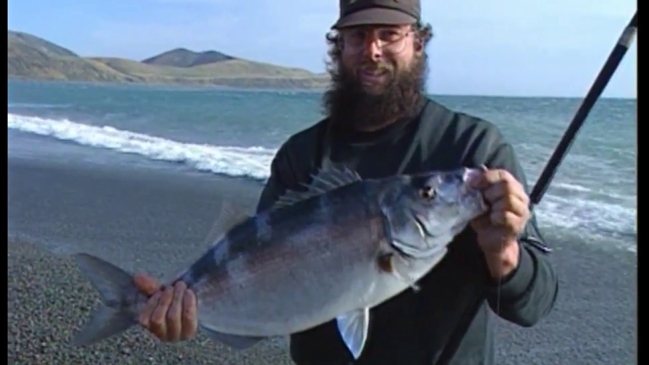 The Great Moki Hunt NZ - GONE FISHIN' 