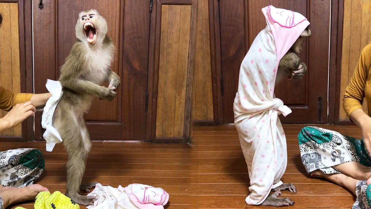 Cold lntolerance Judee Put Pressure On Her Mom To Rush Through Her Morning Routine