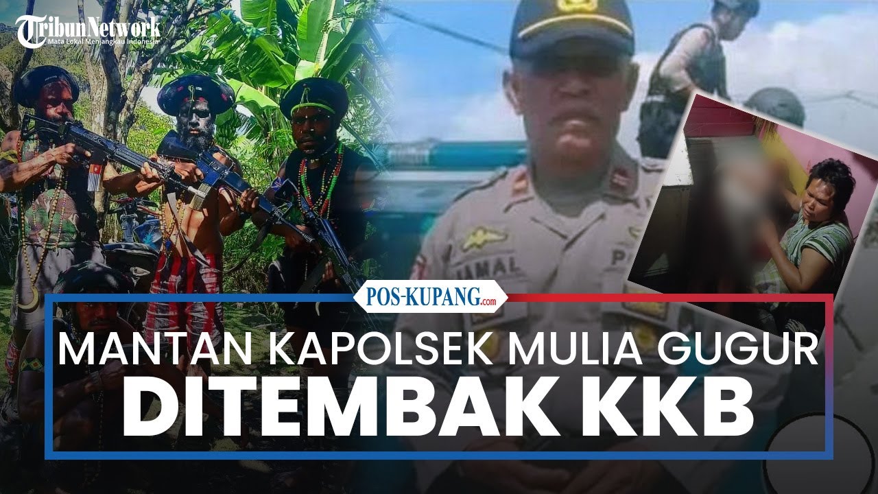 Mantan Kapolsek Mulia Gugur Ditembak KKB di Puncak Jaya