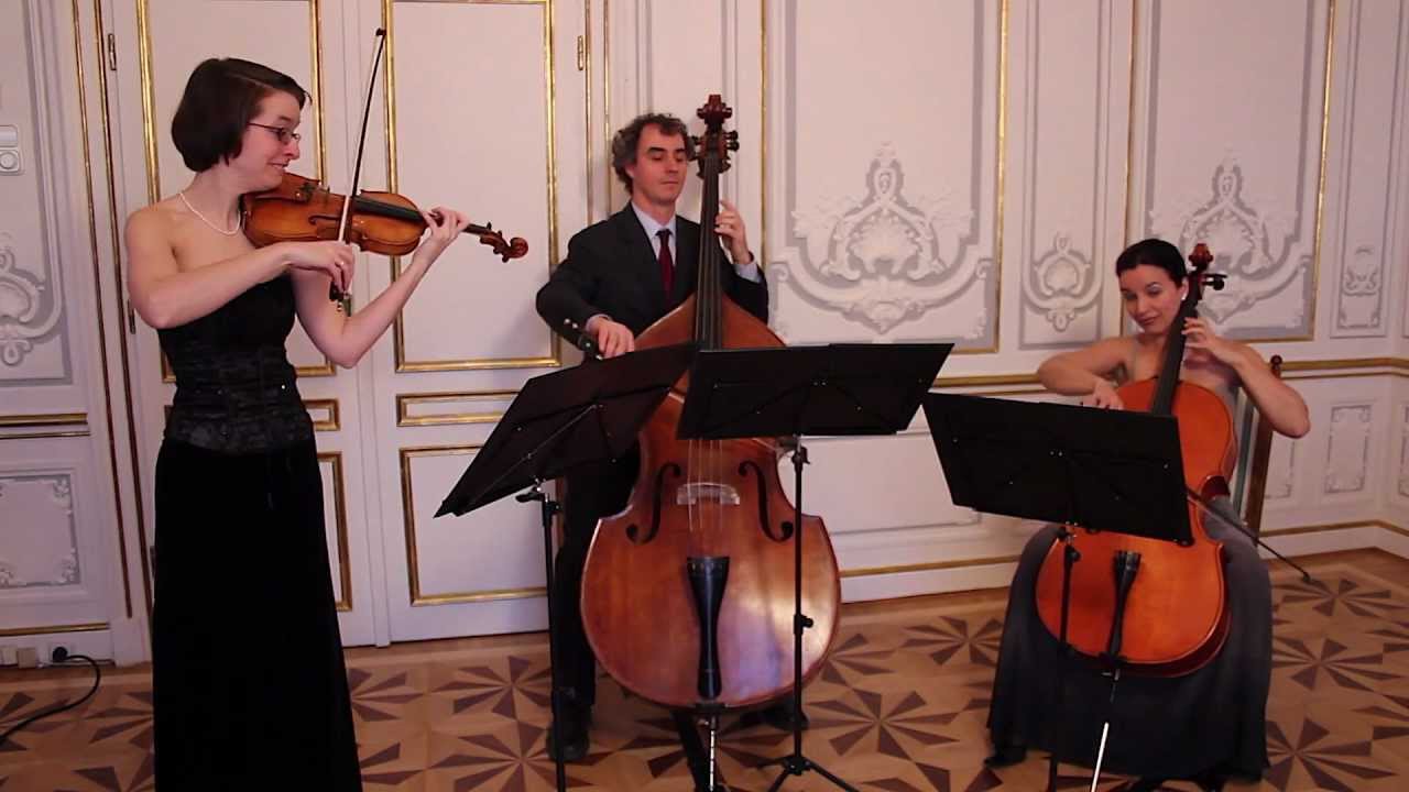 Michael Haydn: Divertimento (for violin, cello, double bass)