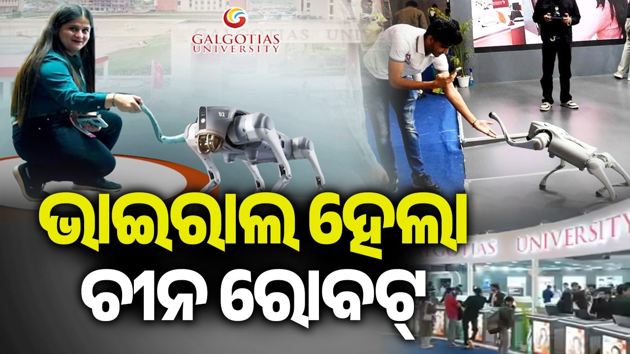 AI Summit Controversy: Galgotias University Removed for Showcasing Imported Robodog | Kalinga TV