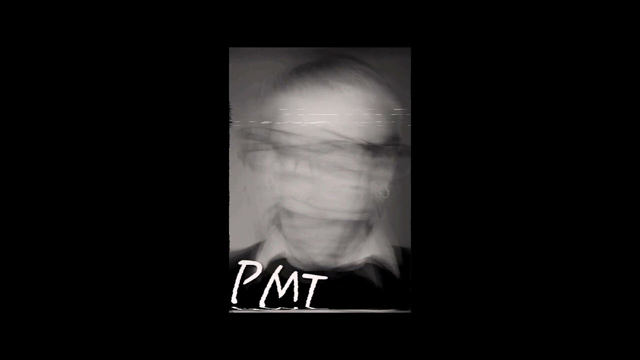 PMT - A Fractured Mind  