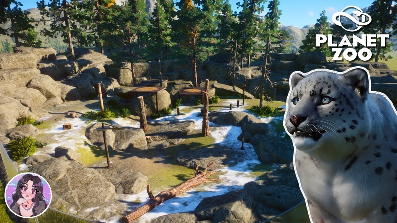 Snow Leopard Habitat With Viewing Cave | Planet Zoo | Speed Build