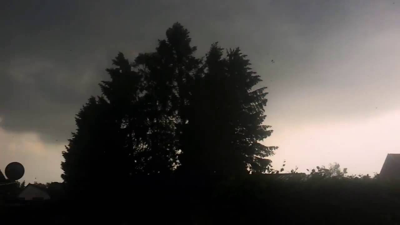 Tornado über Hamburg Farmsen''Baum fällt! ''