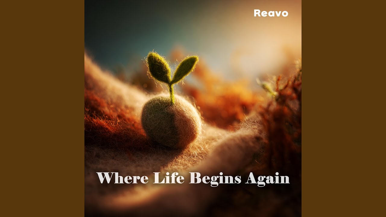 Where Life Begins Again