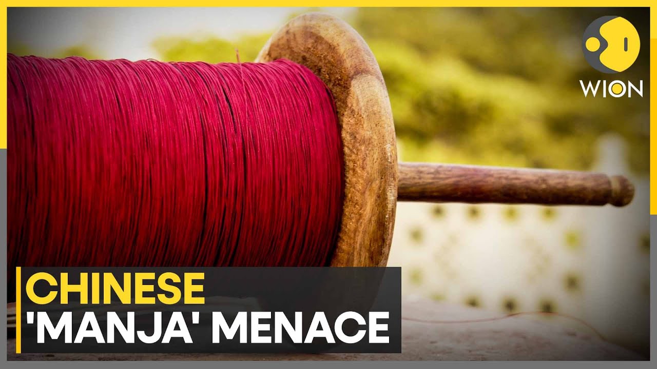 Deadly Chinese Kite Threads Still Prevalent in India Despite Ban | WION News