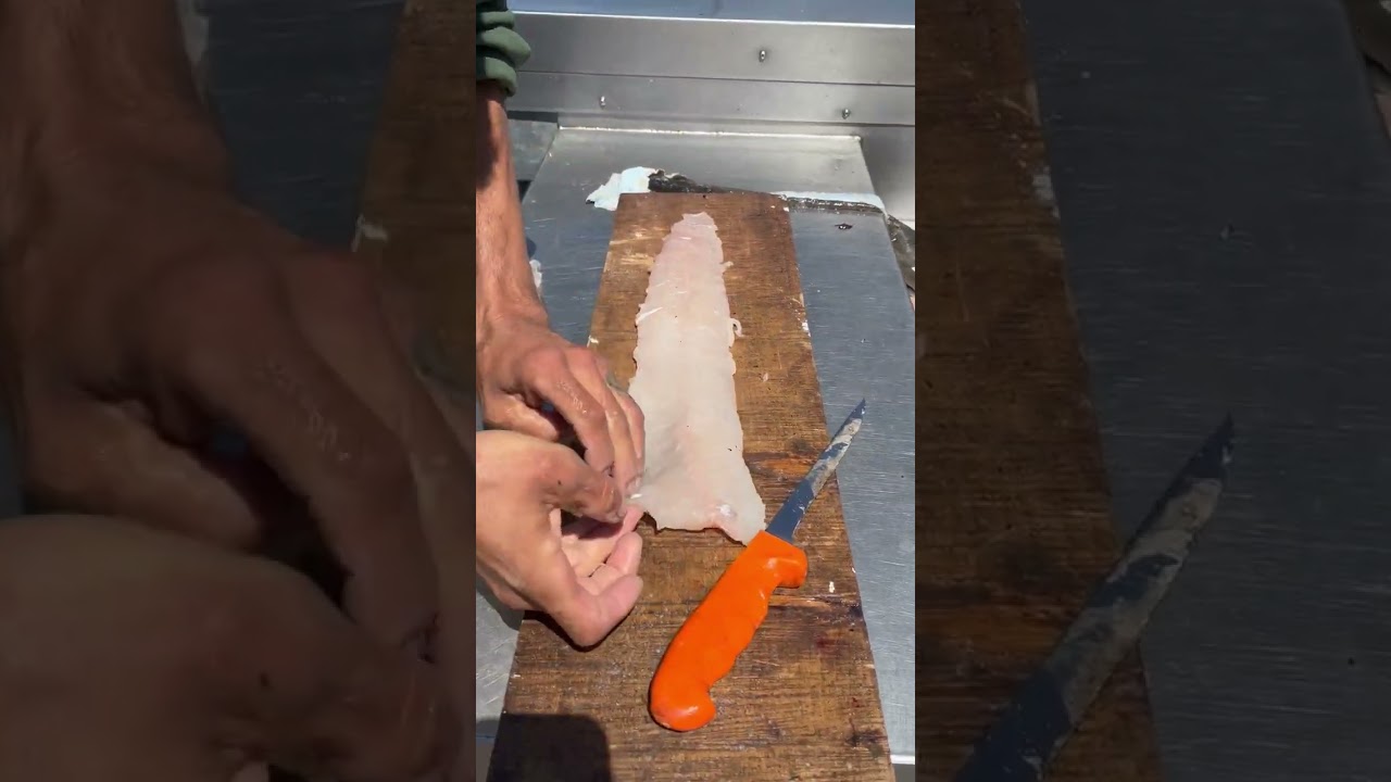 Filleting Monkeyface Prickleback Quick and dirty.